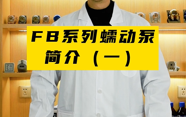 FB係列蠕動泵簡介