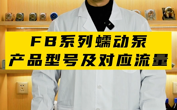 FB係列蠕動泵產品型號及對應流量